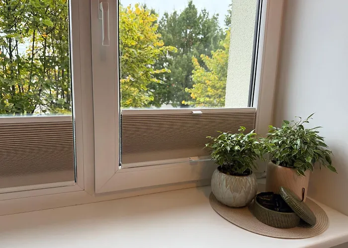 Amaraa Pikk - Feels Better Than Apartamento *